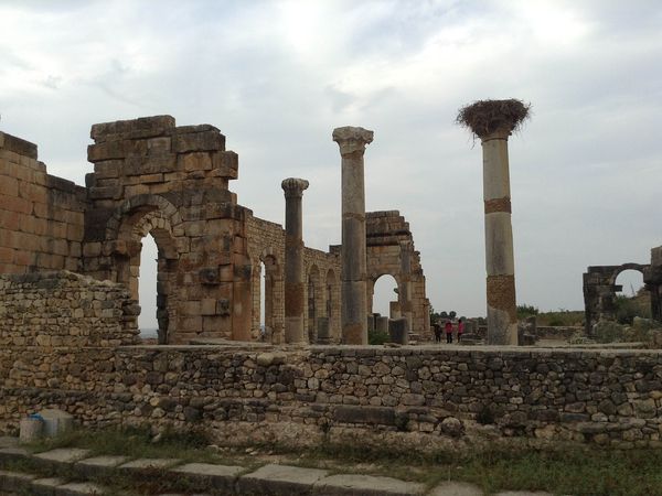 morocco-volubilis